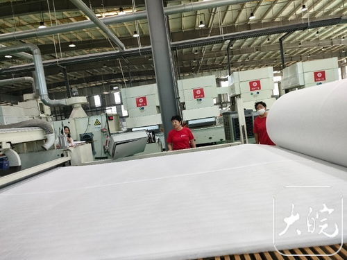 牢記殷殷囑托 勇闖改革新路 界首產(chǎn)紡織材料能“上雪山下火海”